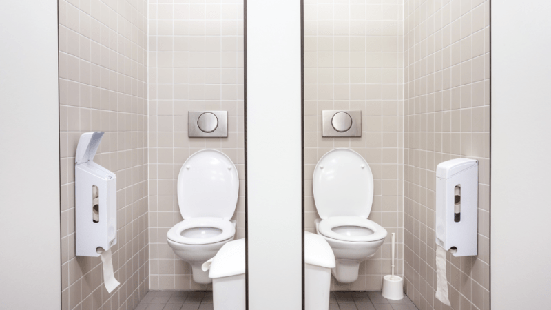 Vandaag is het 19 november, Wereld Toilet Dag