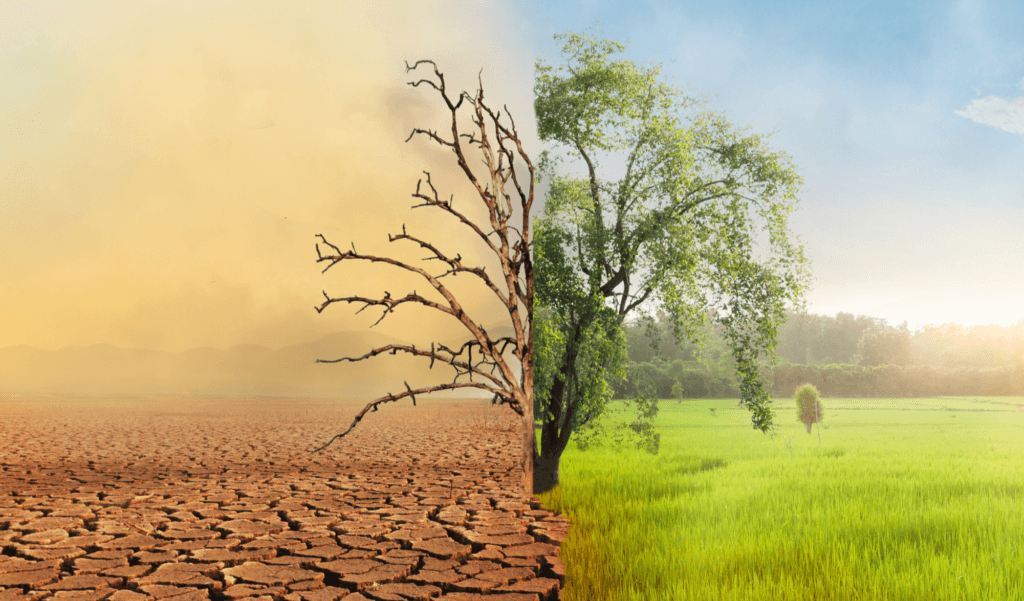 climate change foto bewerking met tegenstellingen droog en nat