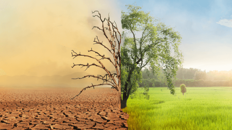 Workshop Climate Change