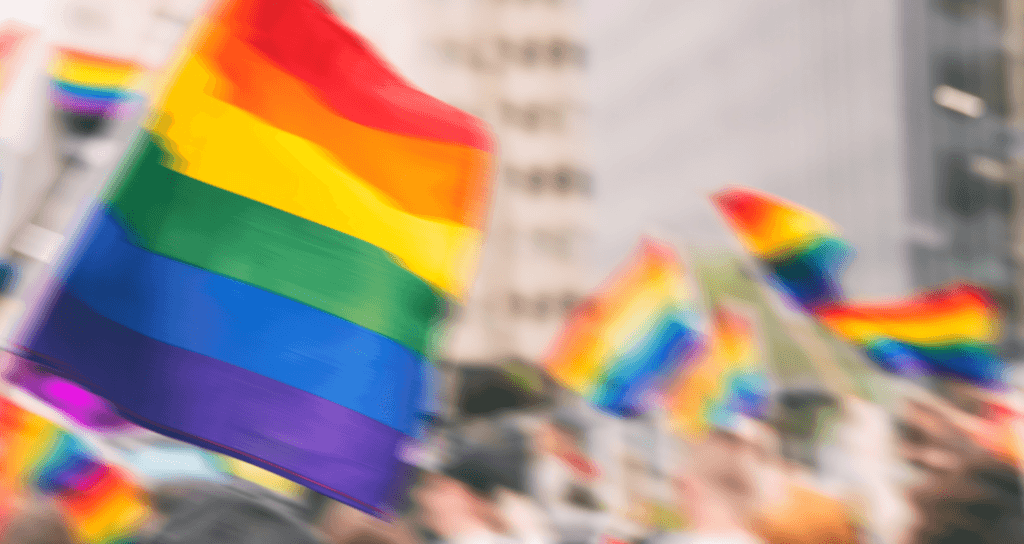 regenboogvlag bij een demonstratie