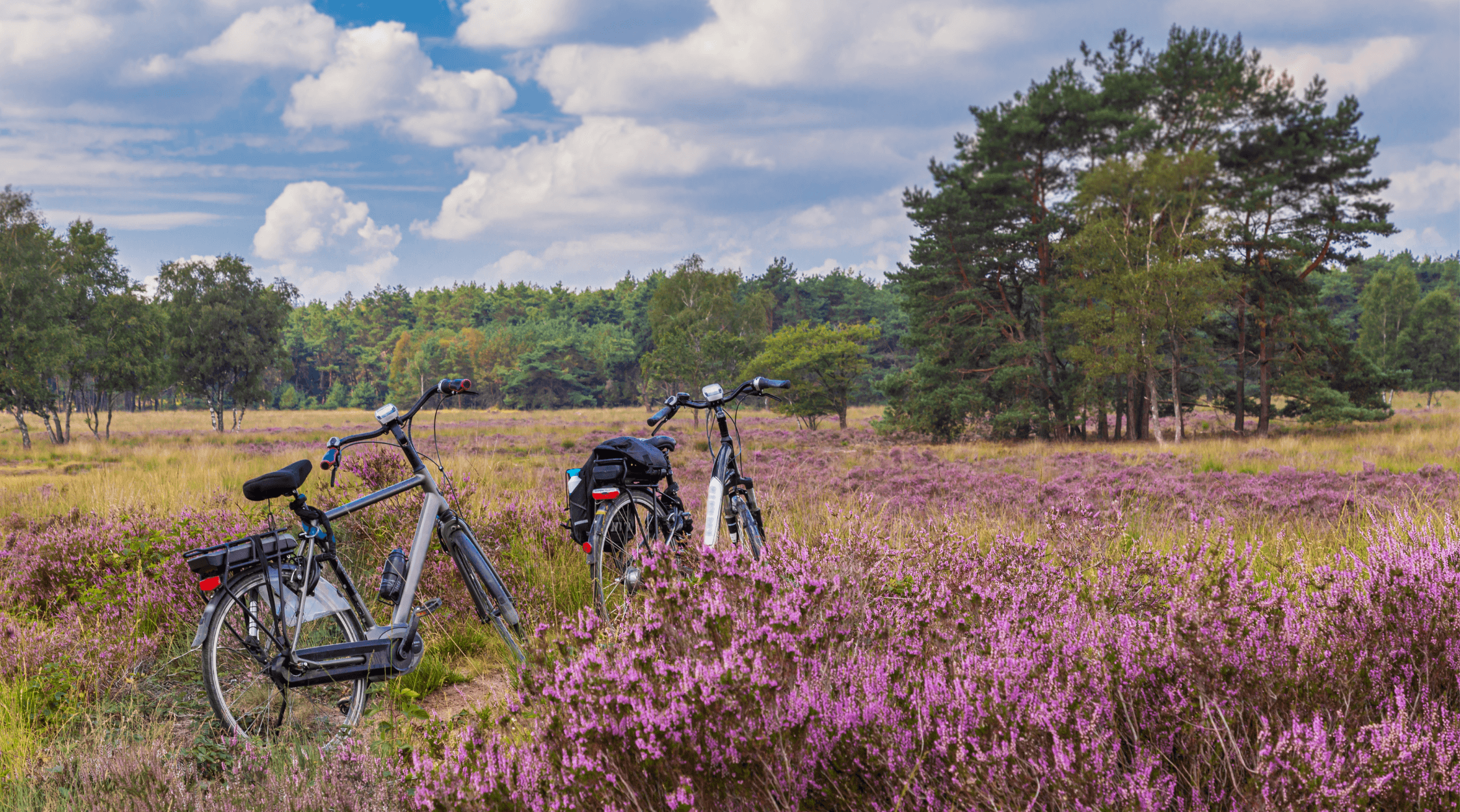Fietsen als fundament voor de toekomst
