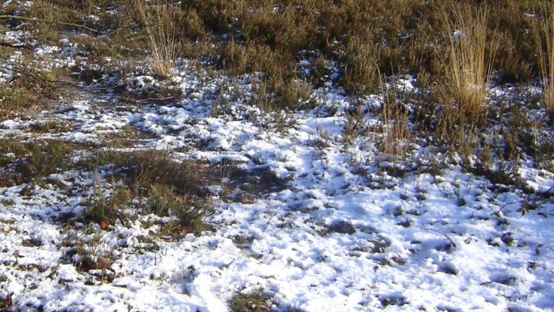 WijApeldoorn steunt de winterregeling